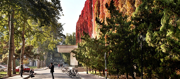 世界杯赛事官网